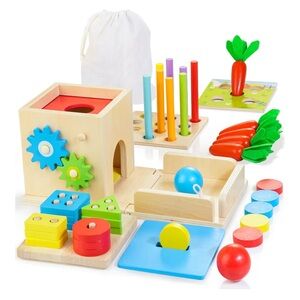 Colorful Wooden Montessori Activity Set for Kids